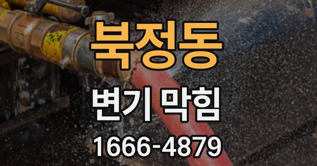 북정동 변기 막힘
