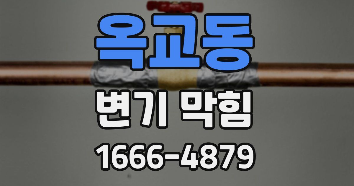 옥교동 변기 막힘