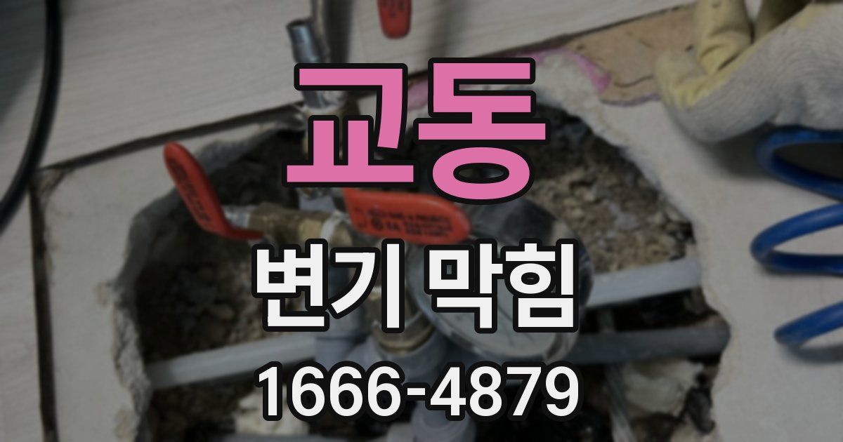 교동 변기 막힘