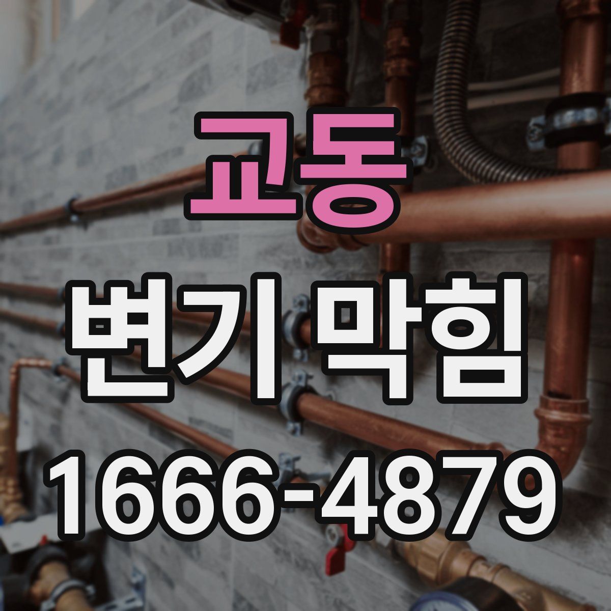 교동 변기 막힘