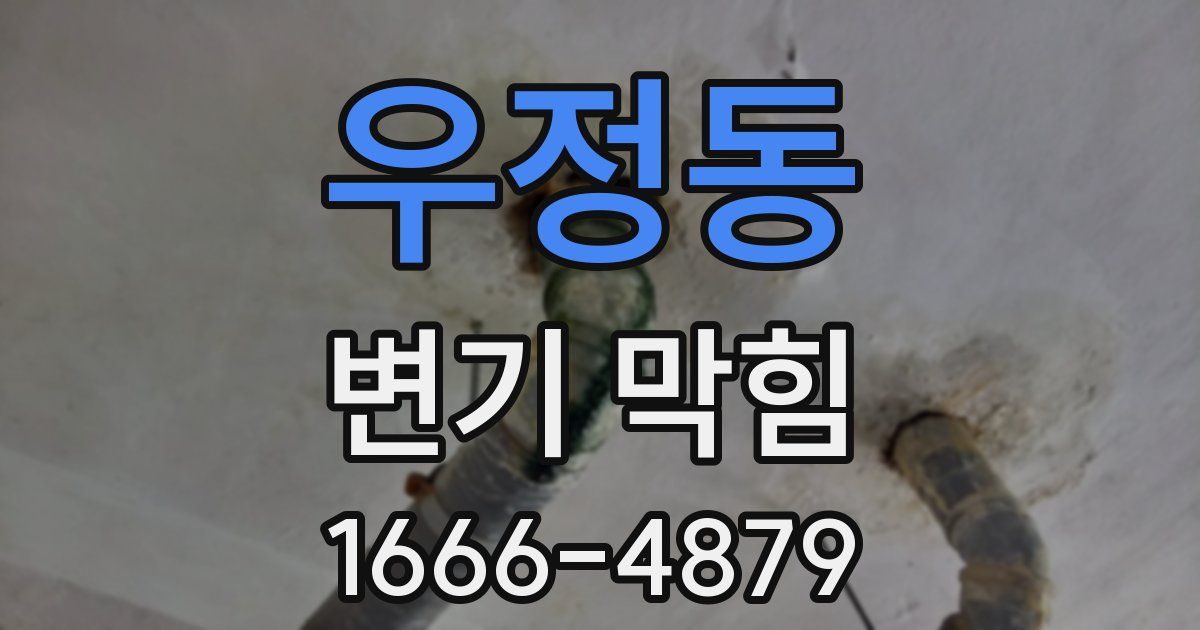 우정동 변기 막힘