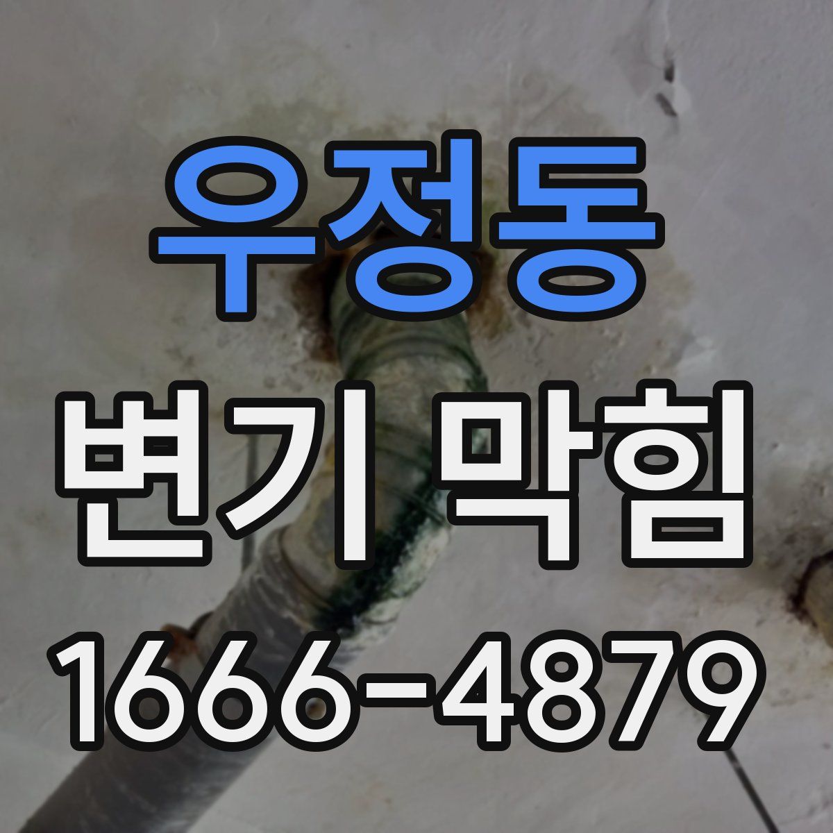 우정동 변기 막힘
