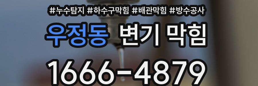 우정동 변기 막힘