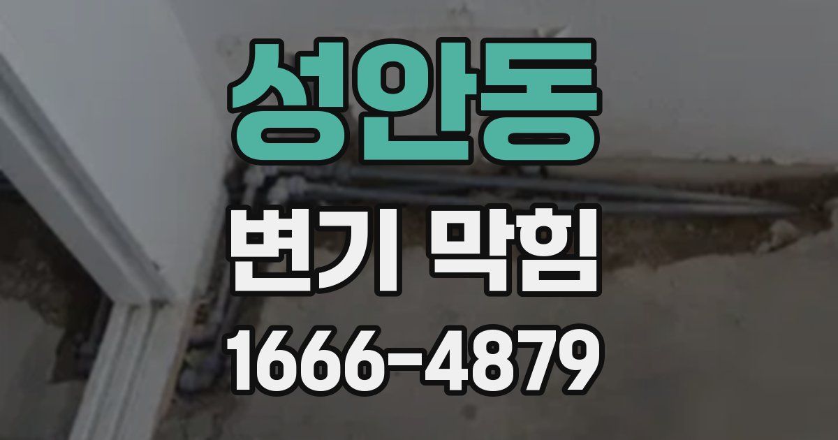 성안동 변기 막힘