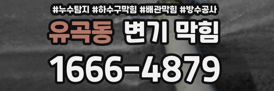 유곡동 변기 막힘