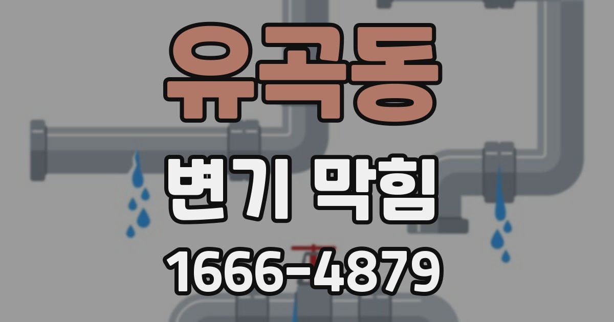 유곡동 변기 막힘