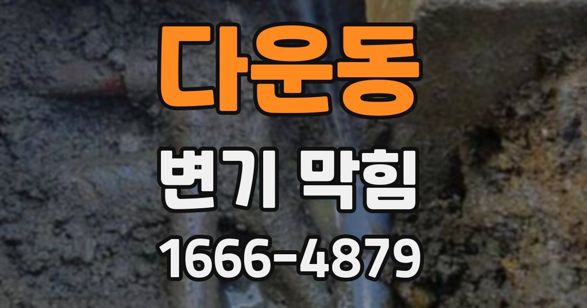 다운동 변기 막힘