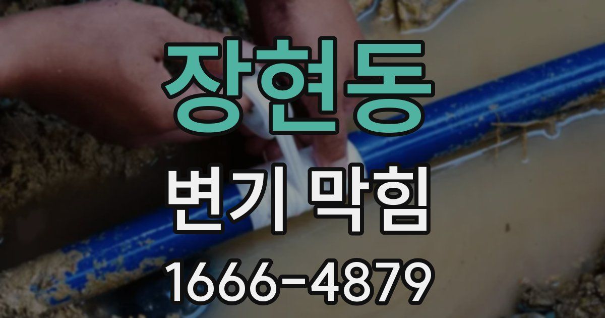 장현동 변기 막힘