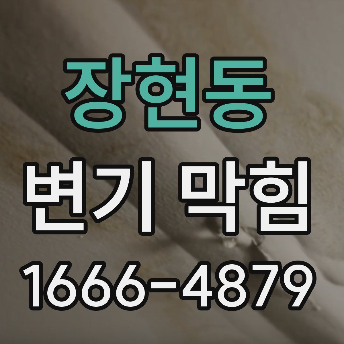 장현동 변기 막힘