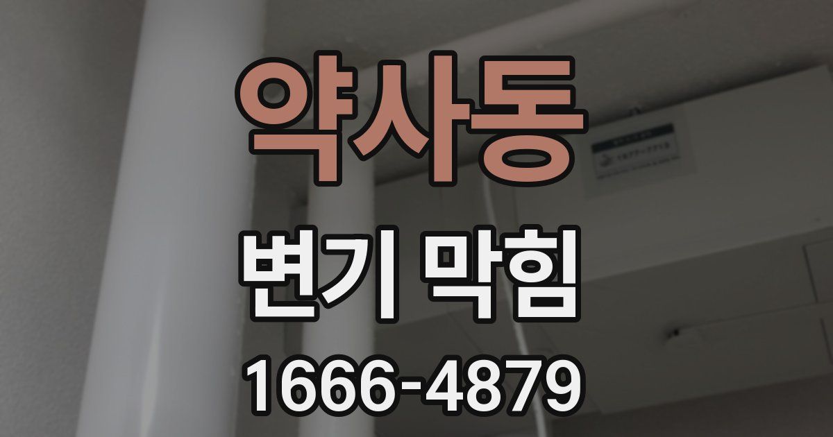 약사동 변기 막힘