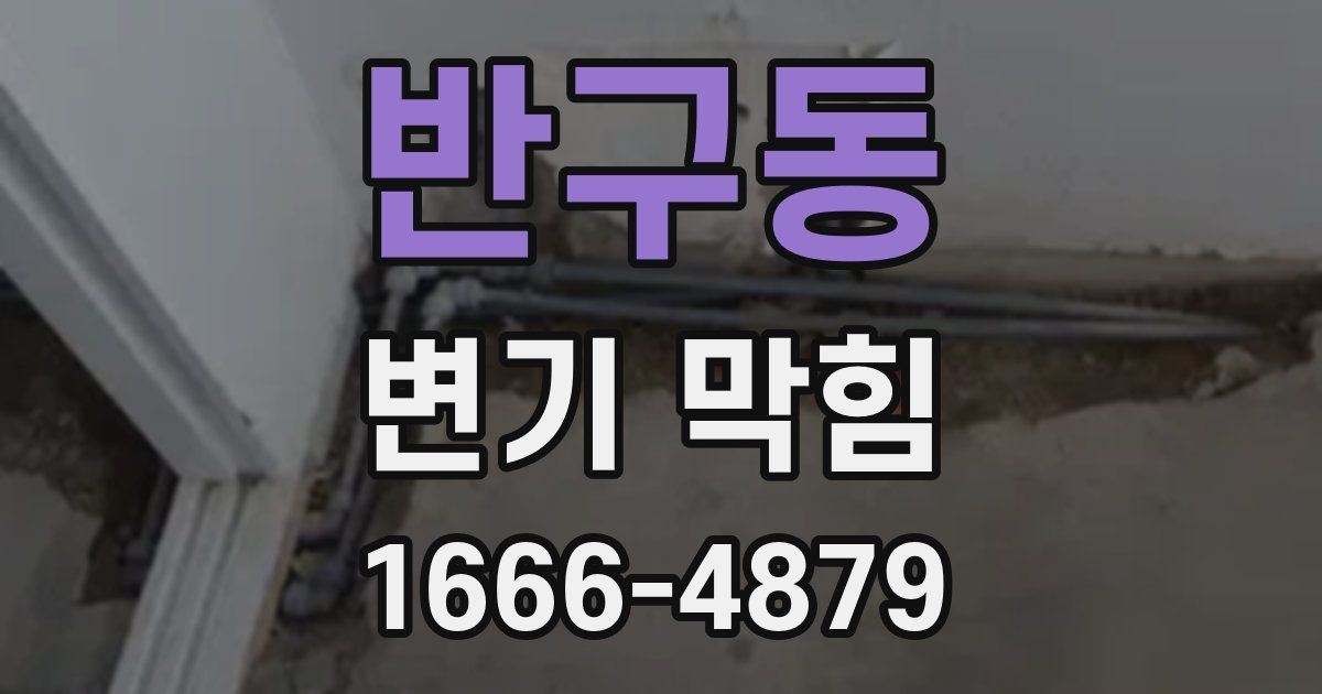반구동 변기 막힘