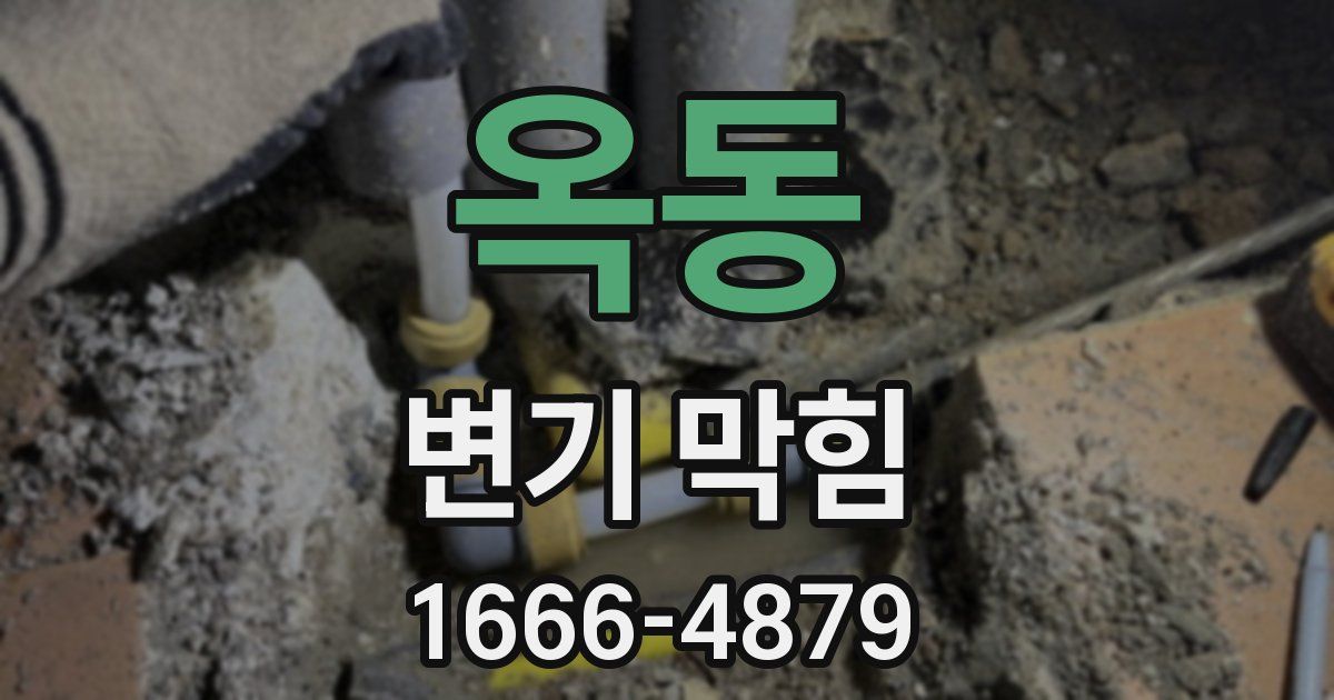 옥동 변기 막힘