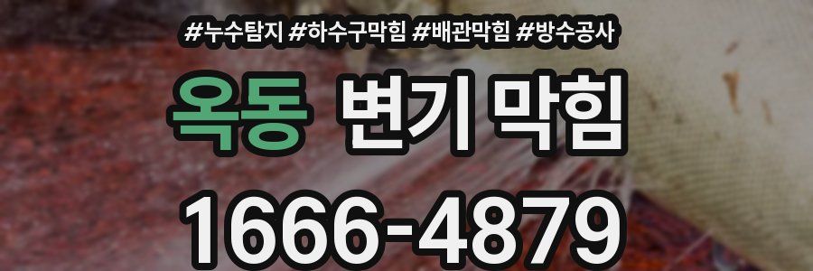 옥동 변기 막힘