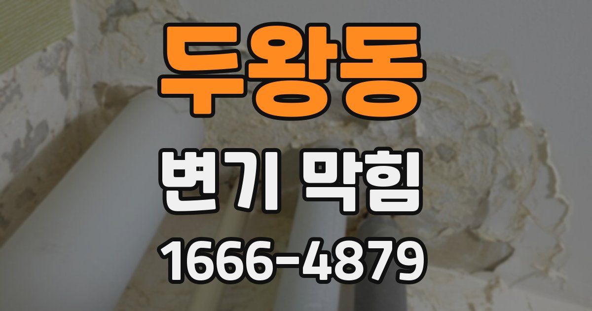두왕동 변기 막힘