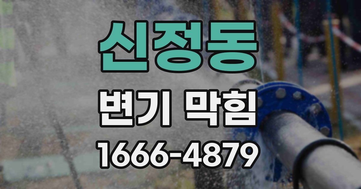 신정동 변기 막힘