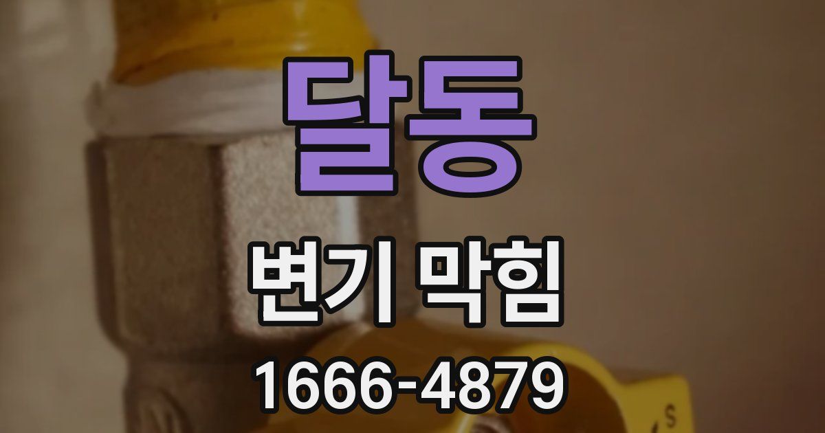달동 변기 막힘