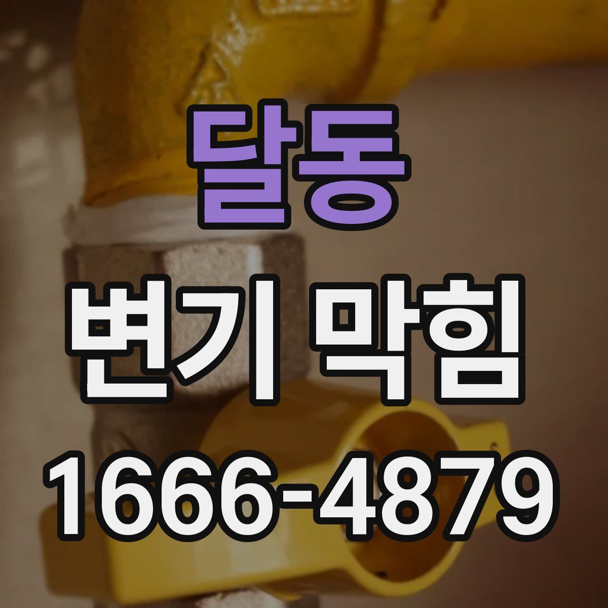 달동 변기 막힘
