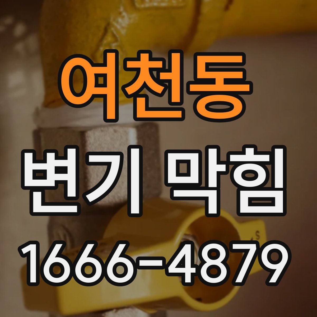 여천동 변기 막힘