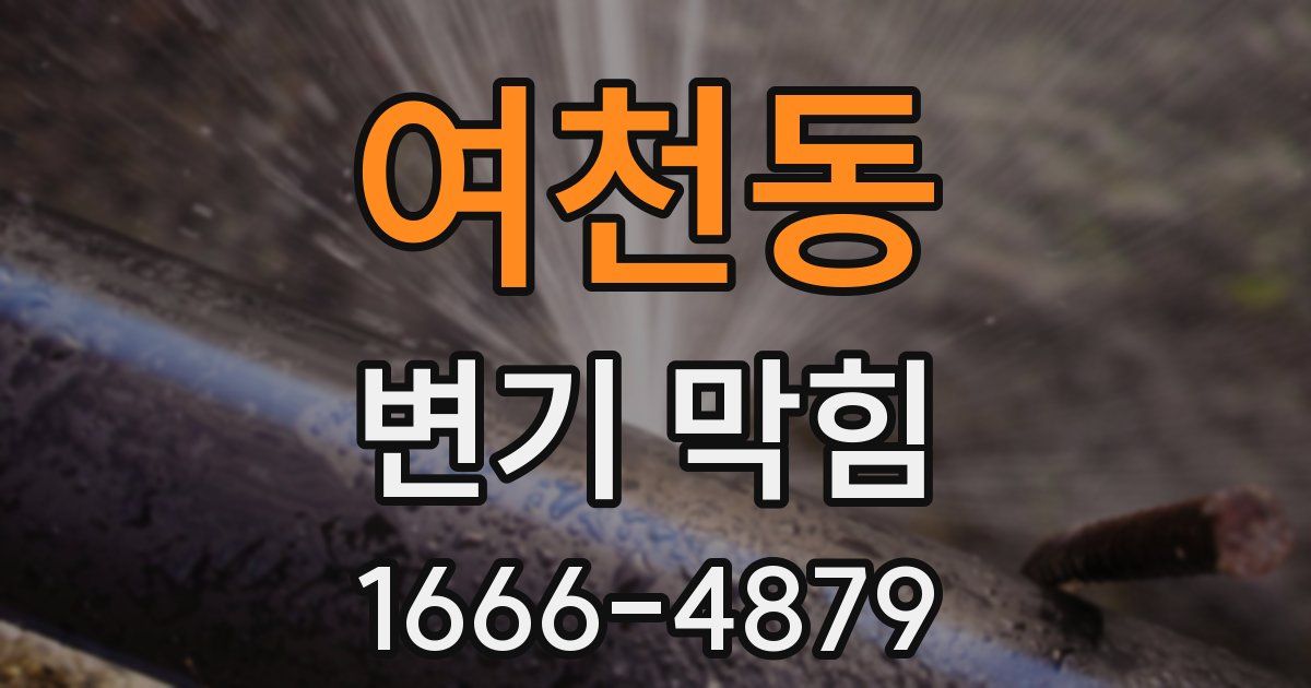 여천동 변기 막힘