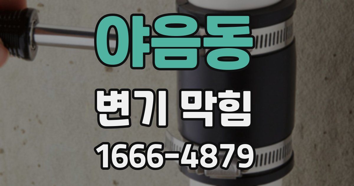 야음동 변기 막힘
