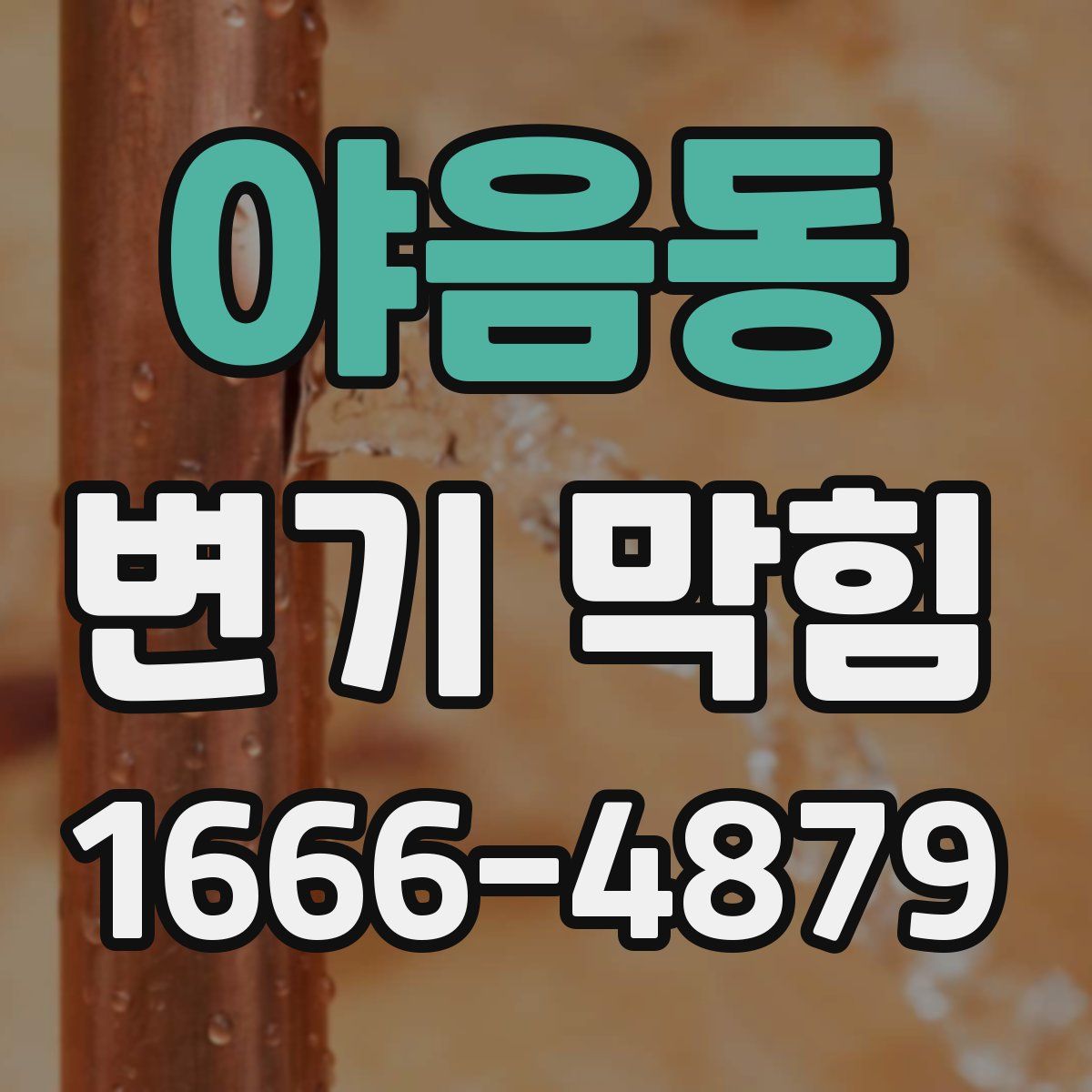 야음동 변기 막힘