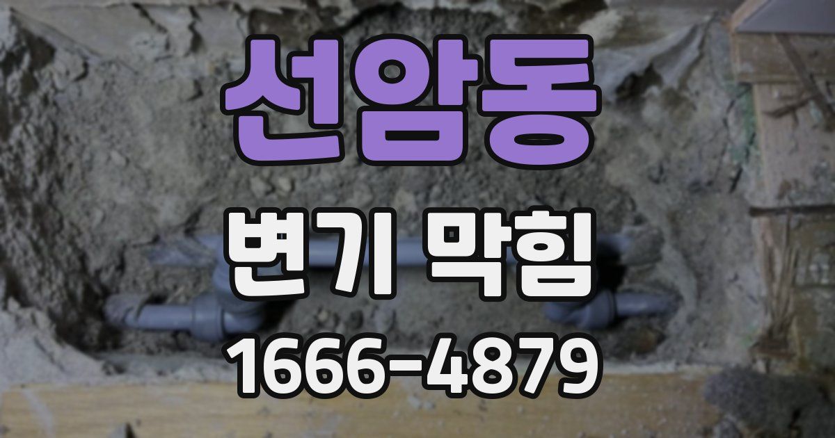 선암동 변기 막힘