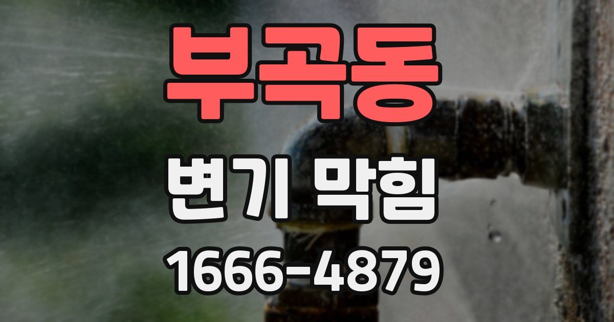 부곡동 변기 막힘