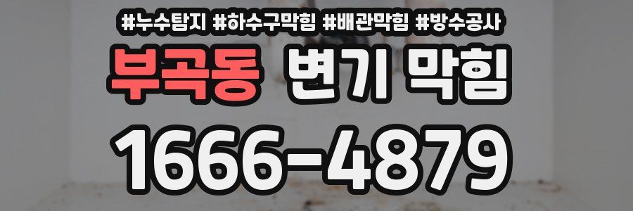 부곡동 변기 막힘