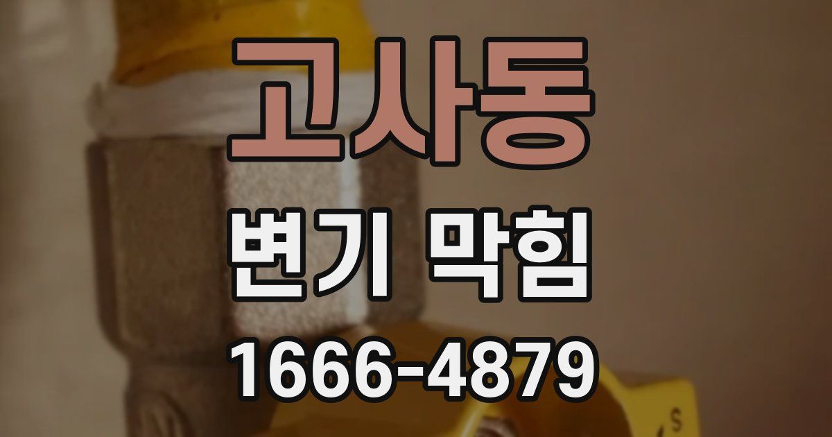 고사동 변기 막힘