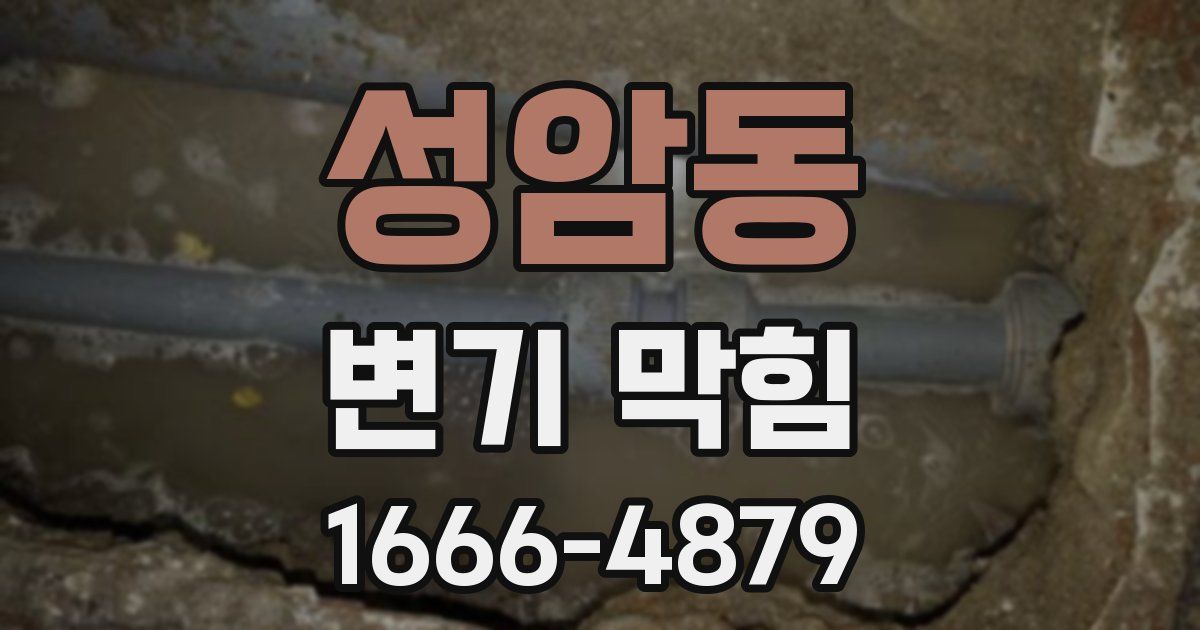 성암동 변기 막힘