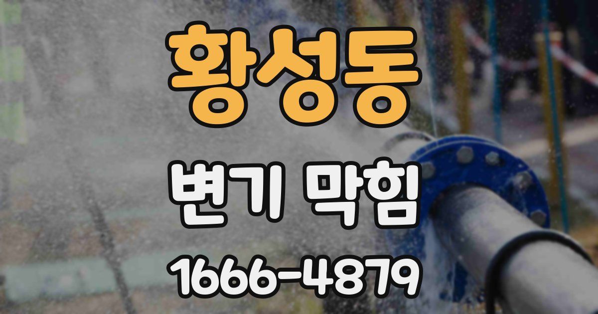 황성동 변기 막힘