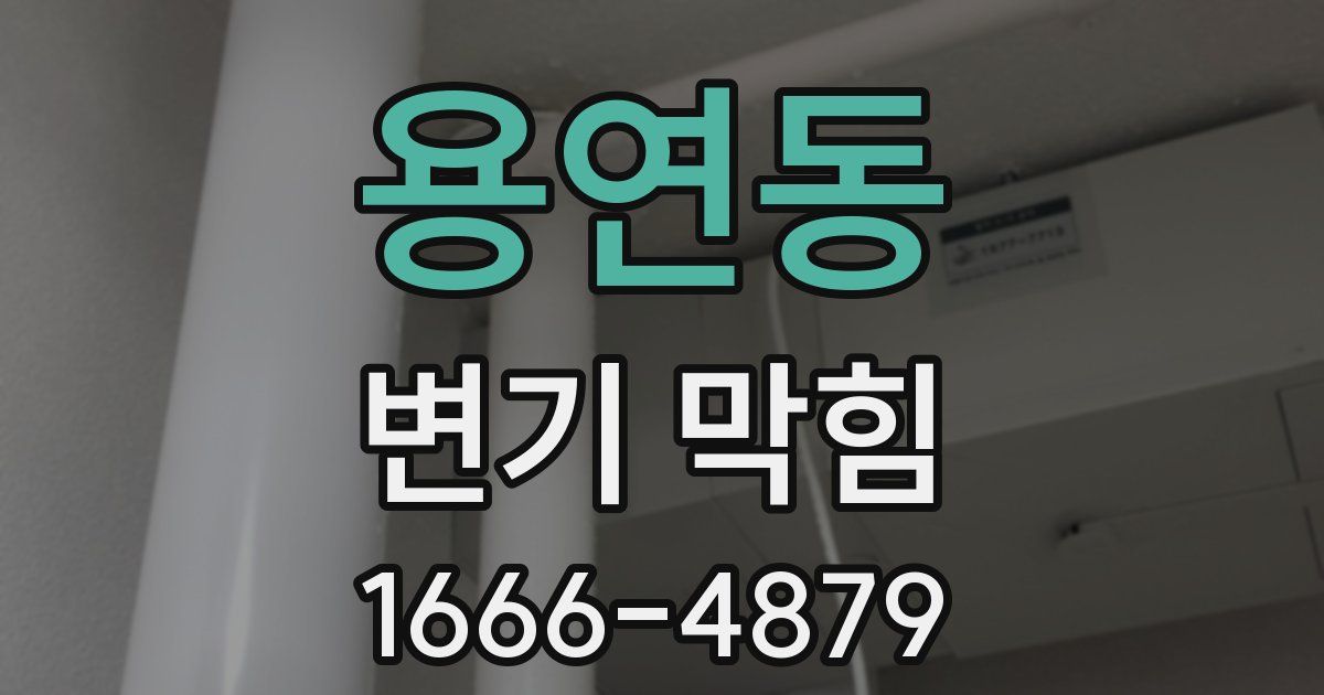 용연동 변기 막힘