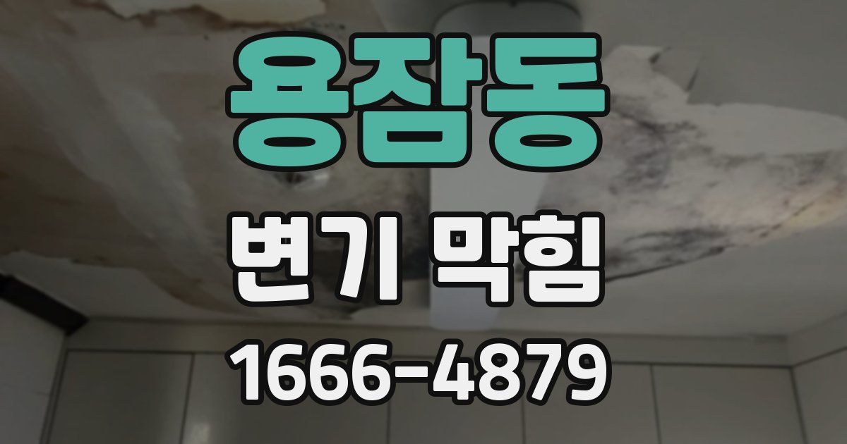 용잠동 변기 막힘