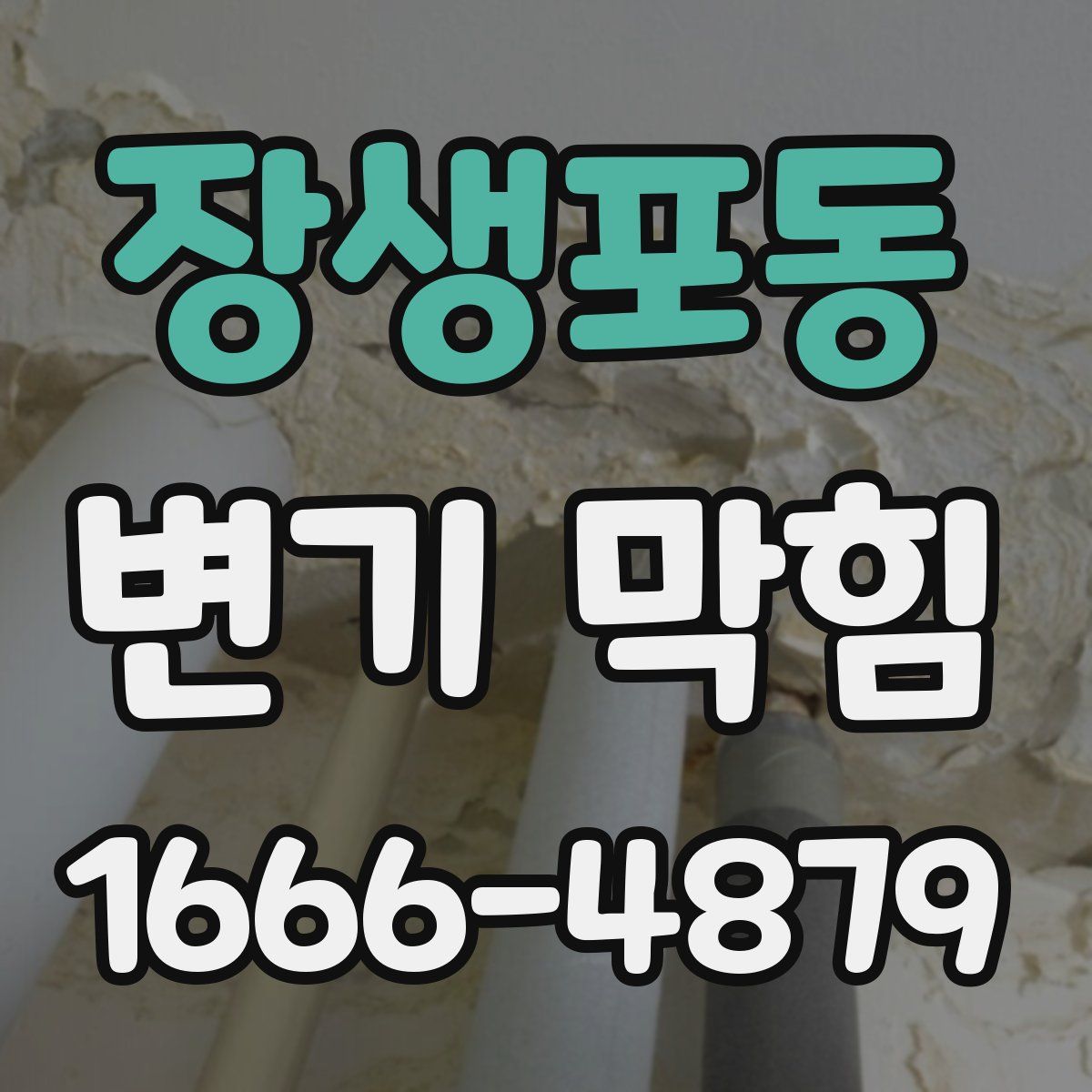 장생포동 변기 막힘