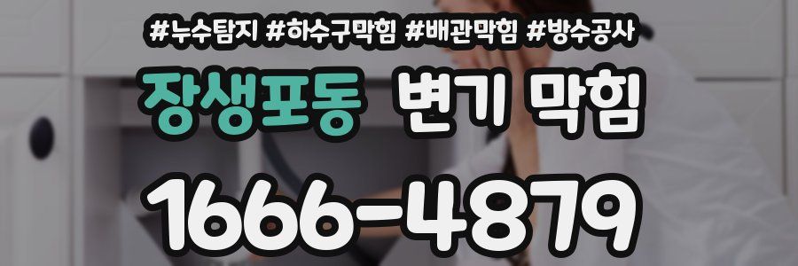 장생포동 변기 막힘