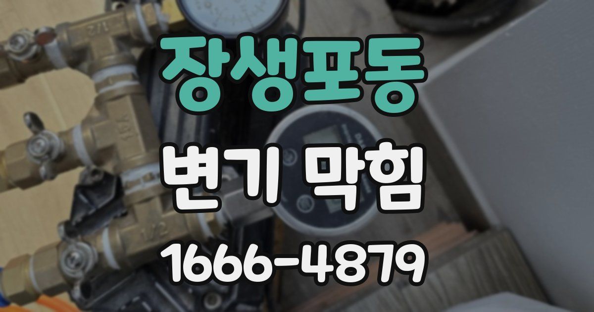 장생포동 변기 막힘