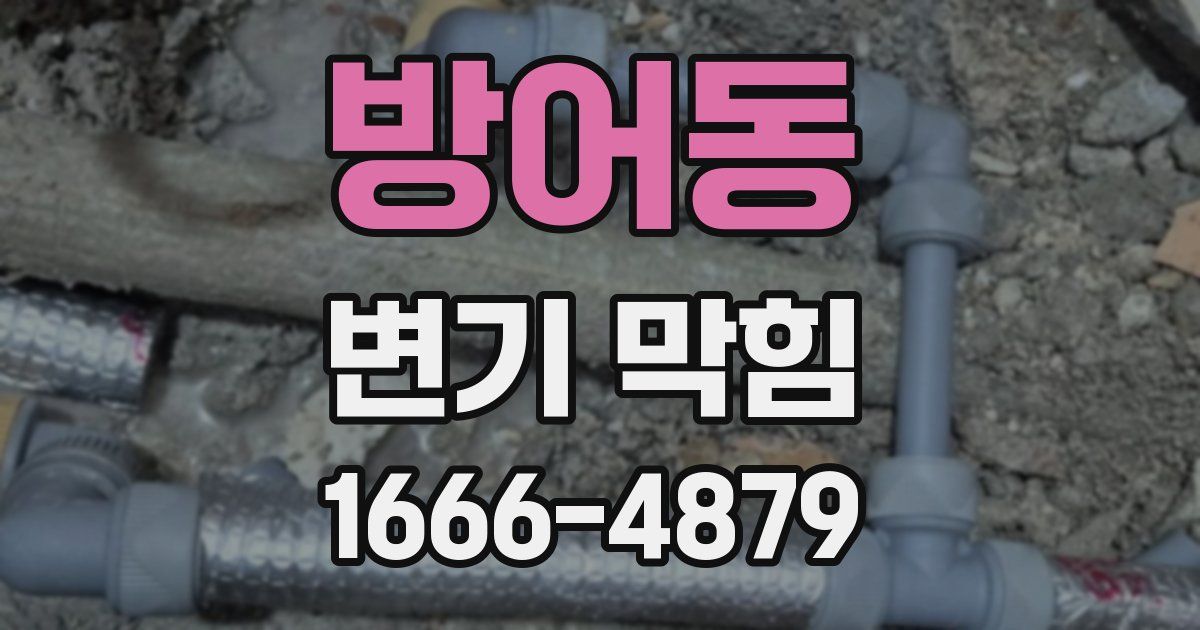 방어동 변기 막힘