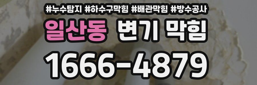일산동 변기 막힘