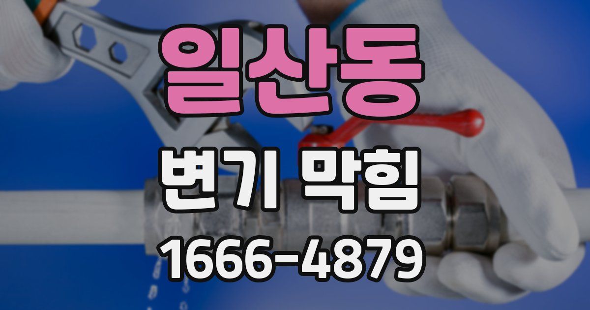 일산동 변기 막힘