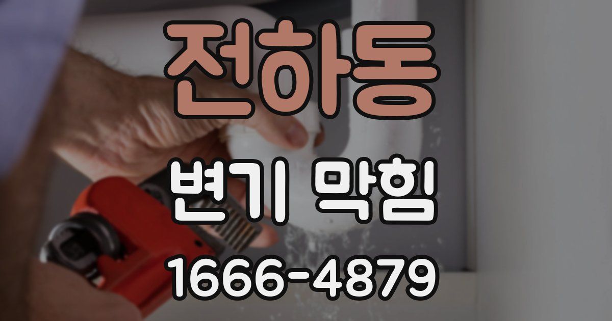 전하동 변기 막힘