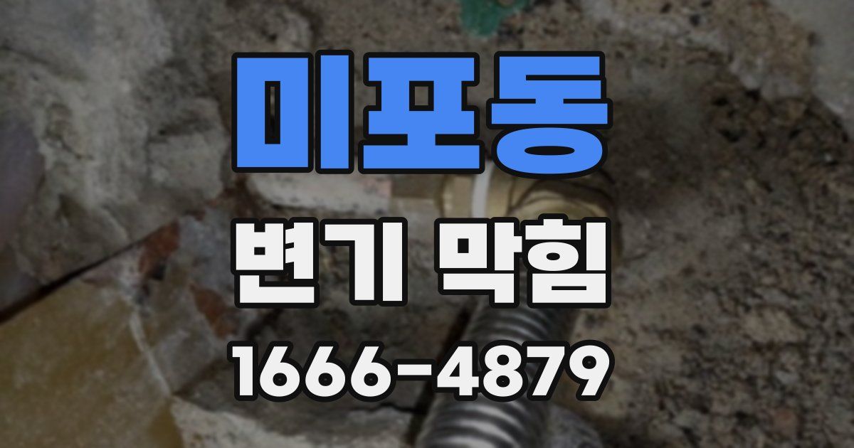 미포동 변기 막힘
