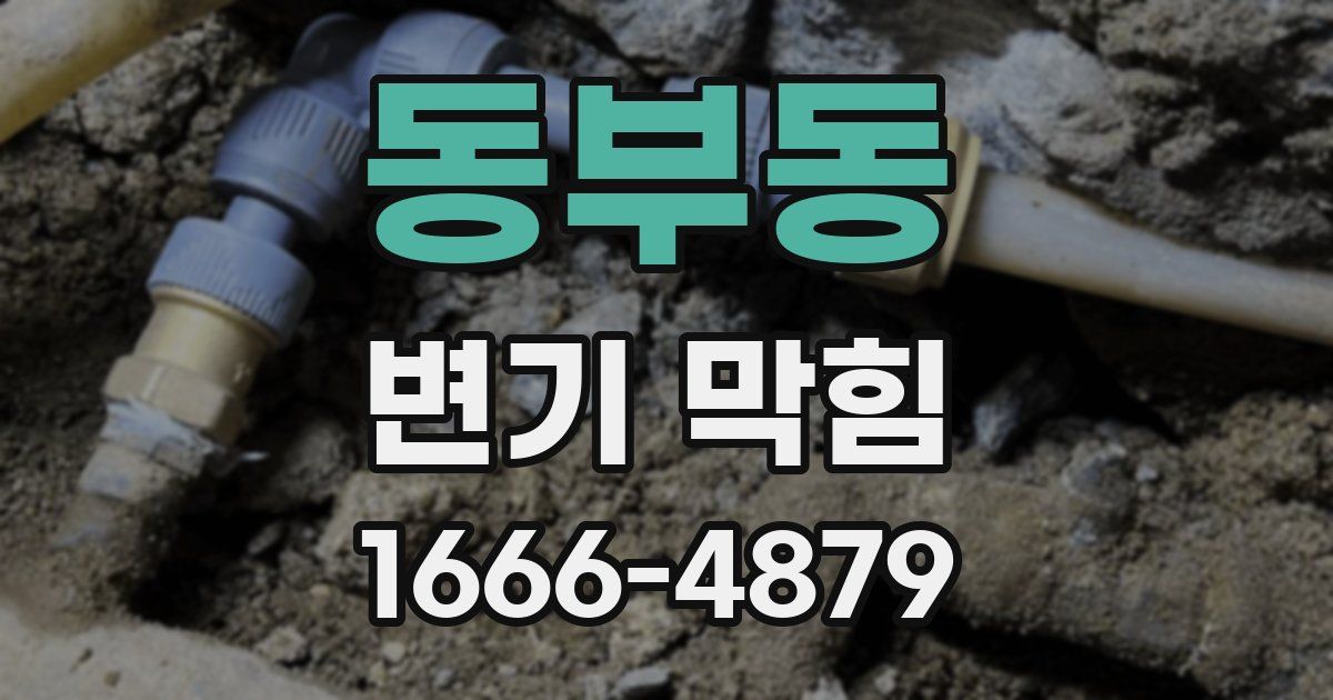 동부동 변기 막힘