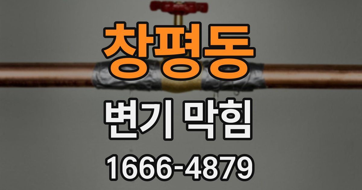 창평동 변기 막힘