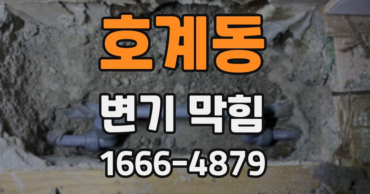 호계동 변기 막힘