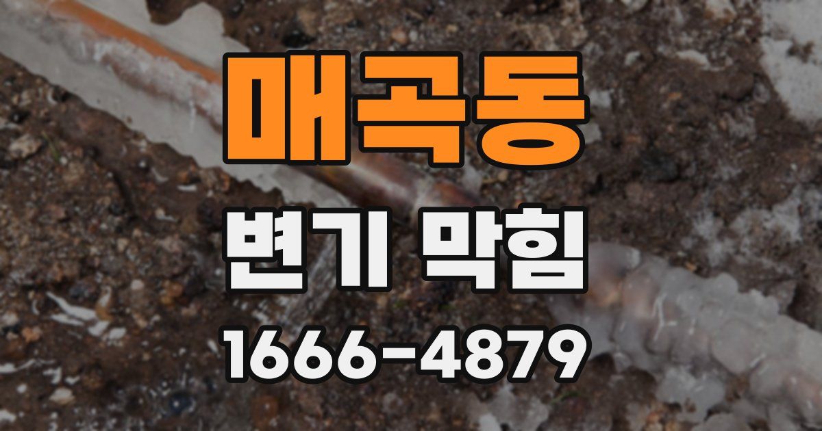 매곡동 변기 막힘