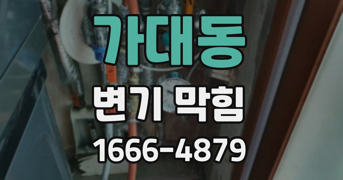 가대동 변기 막힘
