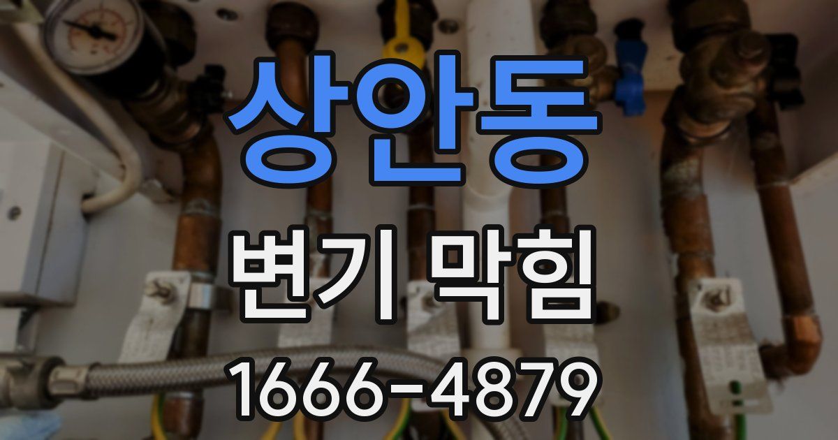 상안동 변기 막힘
