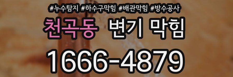 천곡동 변기 막힘