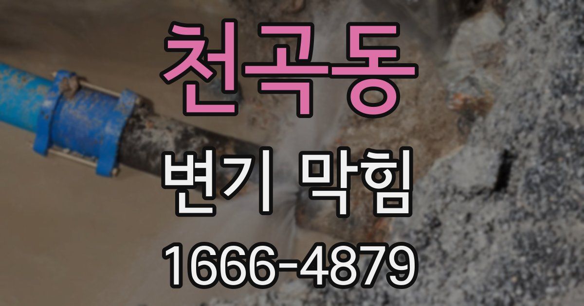 천곡동 변기 막힘