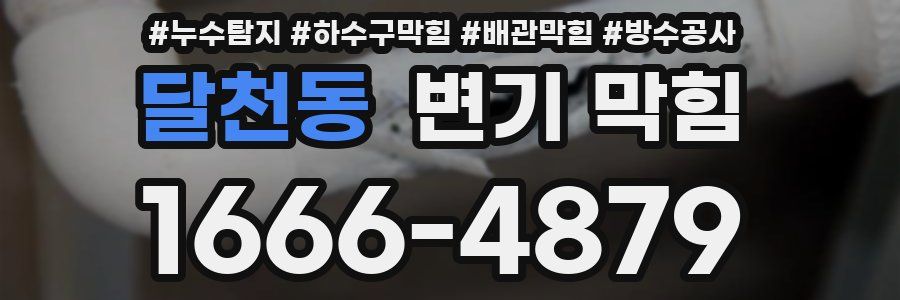달천동 변기 막힘